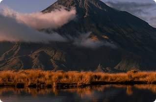 The search for longevity started it all